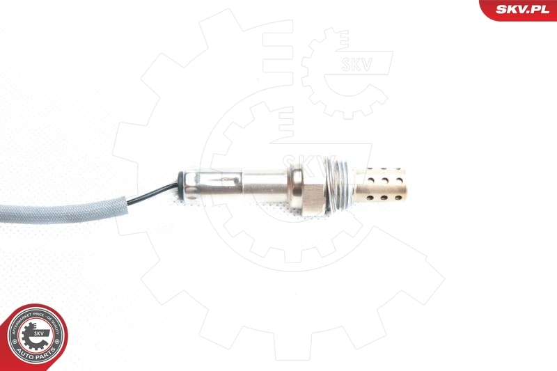 Oxygen Sensor 09SKV098