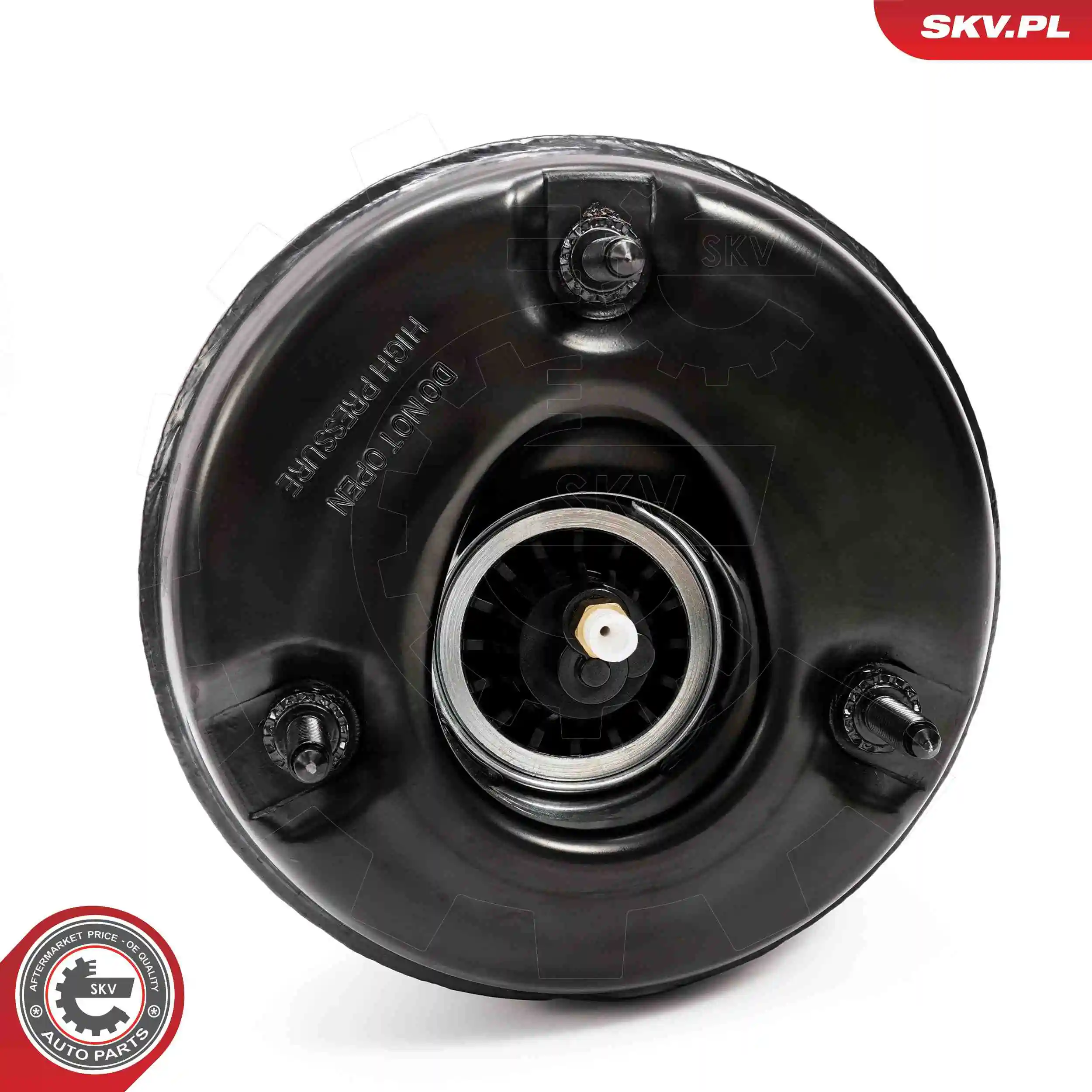 Air Suspension Strut 58SKV721