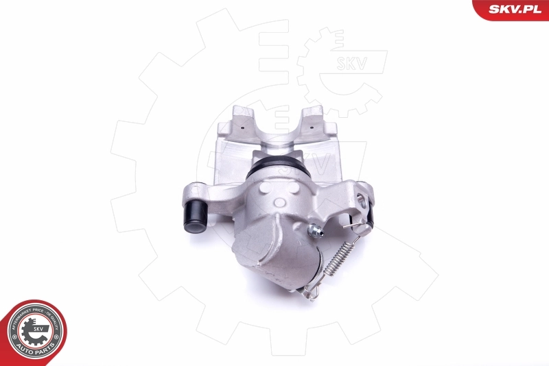 Brake Caliper 42SKV344