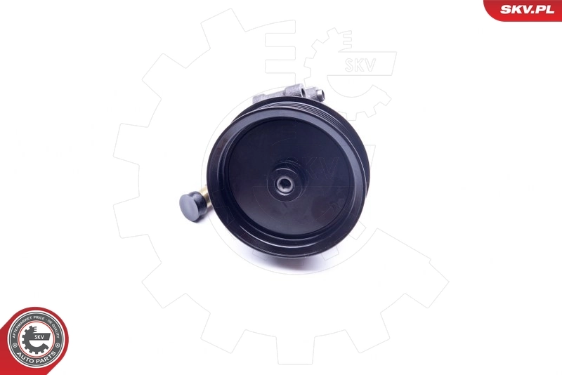 Hydraulic Pump, steering 10SKV101