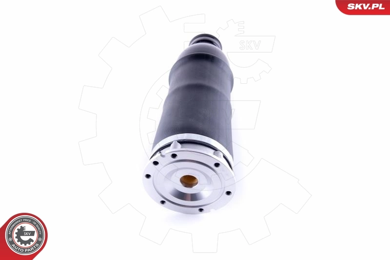 Air Spring, suspension 58SKV043