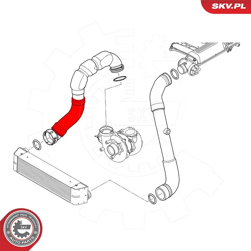 Charge Air Hose 54SKV068