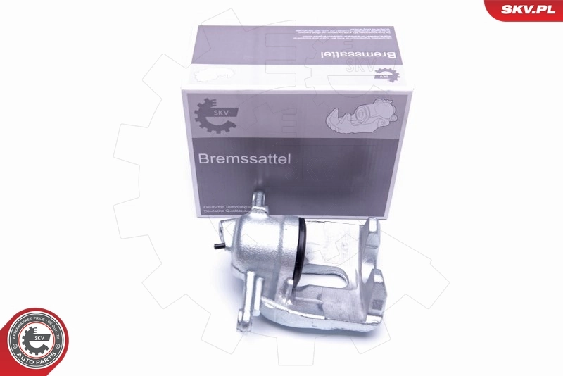 Brake Caliper 42SKV942