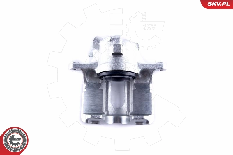 Brake Caliper 55SKV051