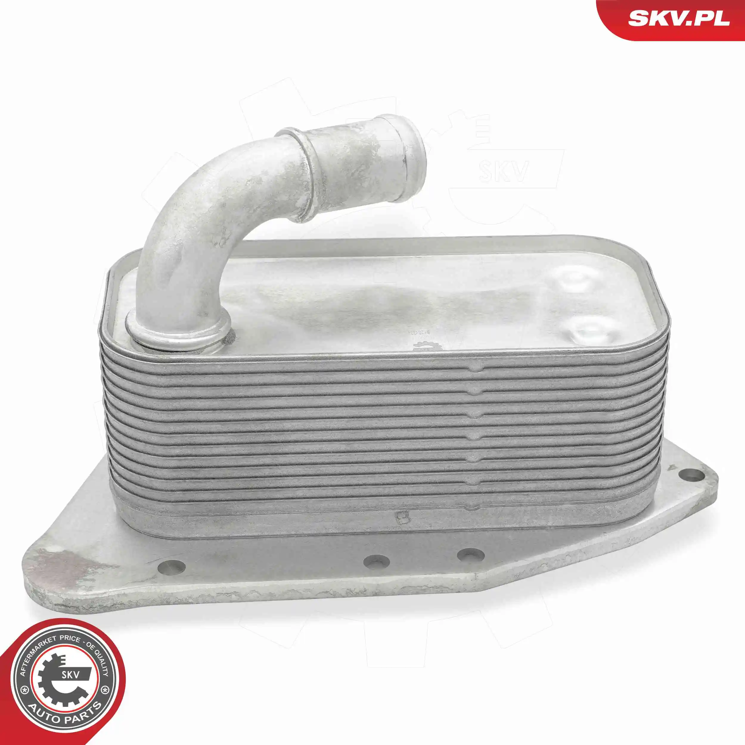 Oil Cooler, engine oil 31SKV313