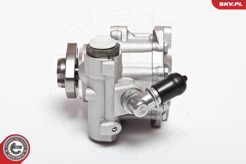 Hydraulic Pump, steering 10SKV018