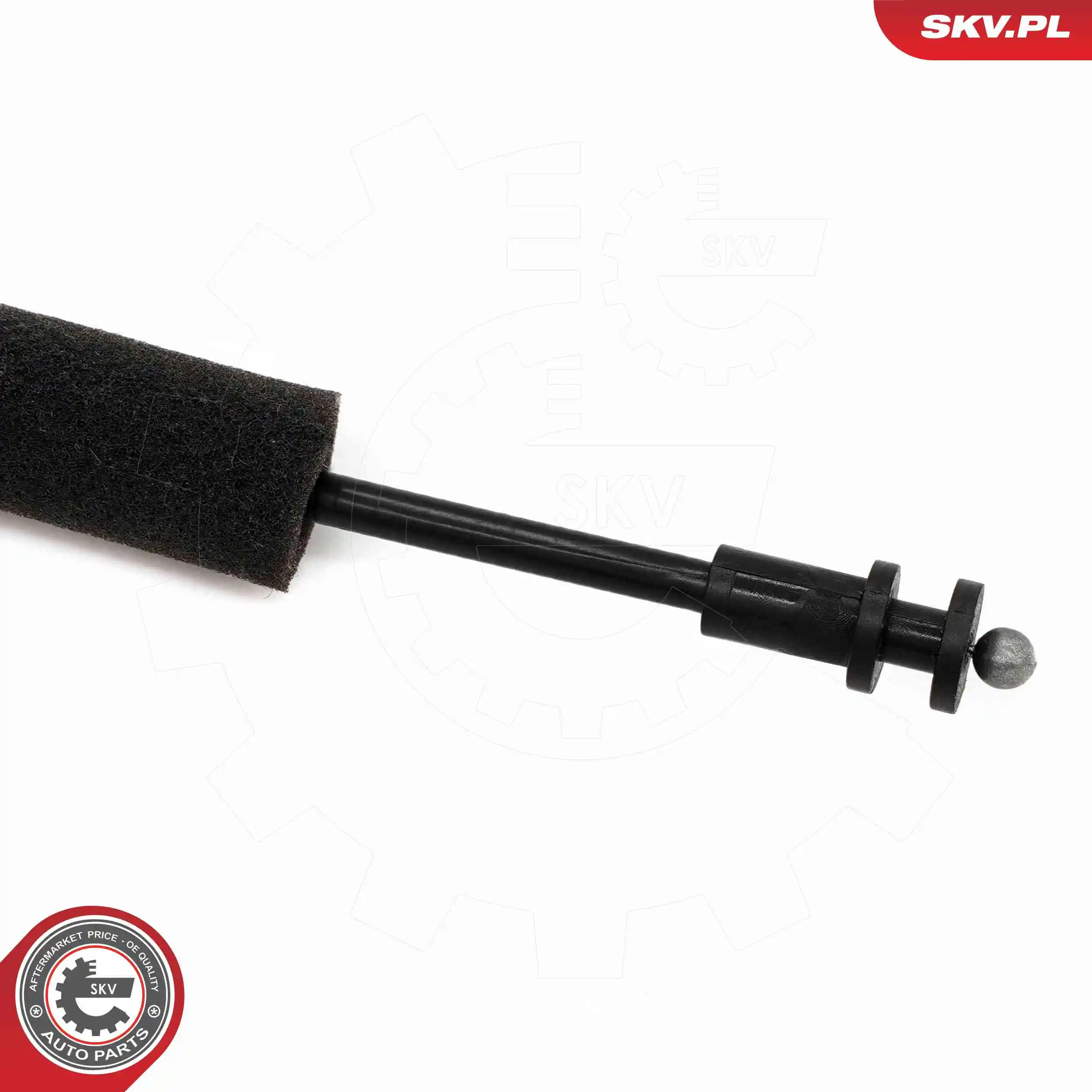 Tailgate Lock 16SKV089