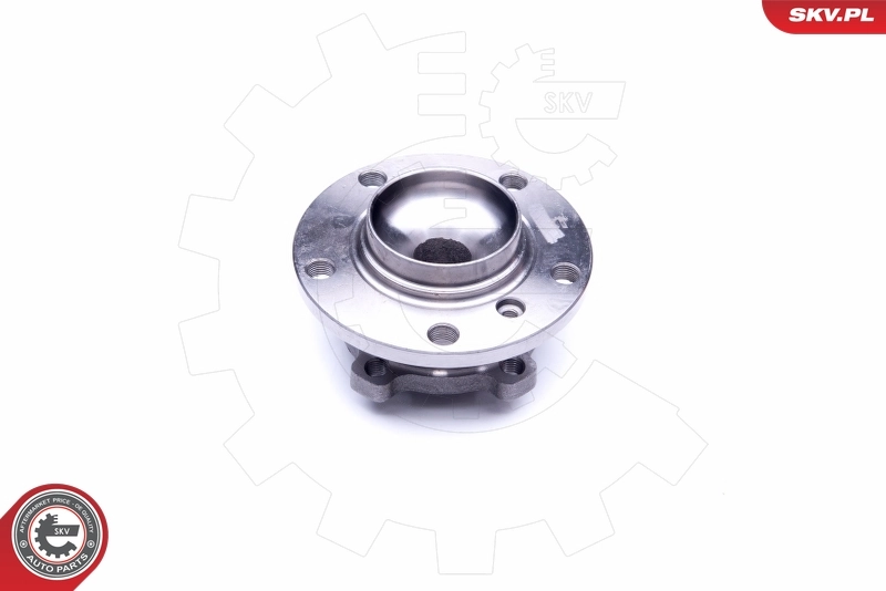 Wheel Bearing Kit 29SKV250