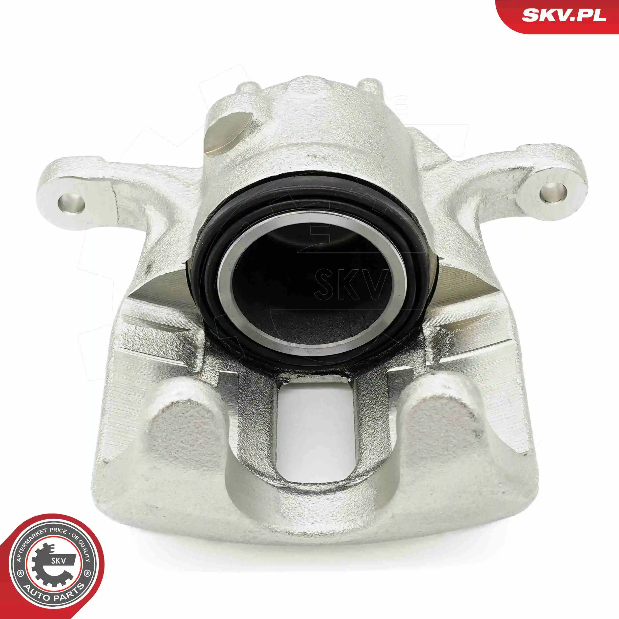 Brake Caliper 56SKV812