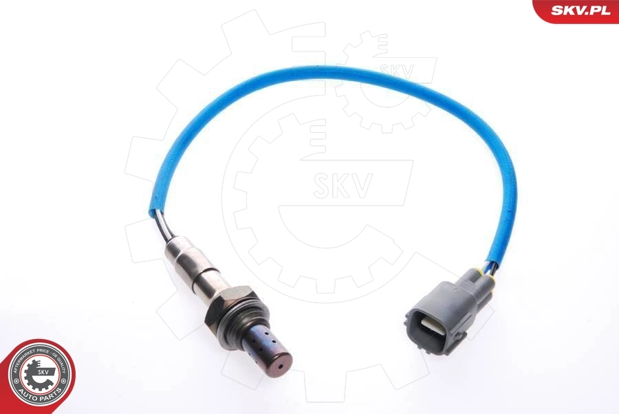 Oxygen Sensor 09SKV011