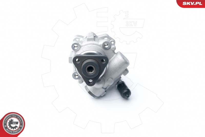 Hydraulic Pump, steering 10SKV122