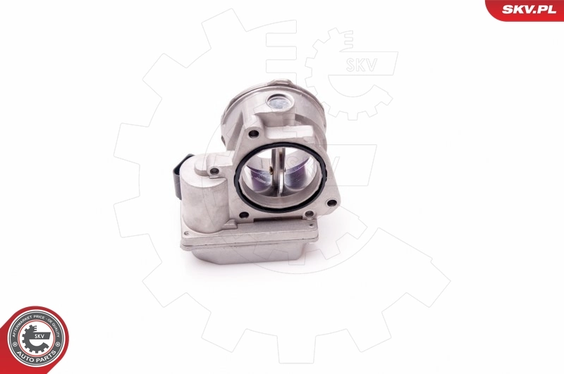 Throttle Body 12SKV061