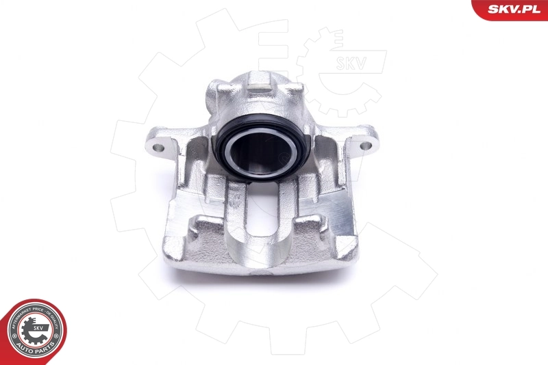 Brake Caliper 42SKV642