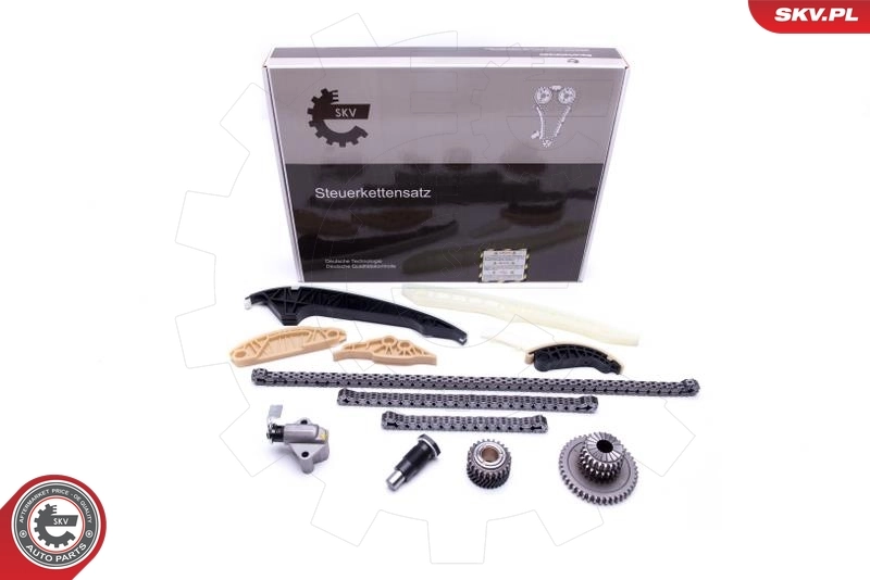 Timing Chain Kit 21SKV163