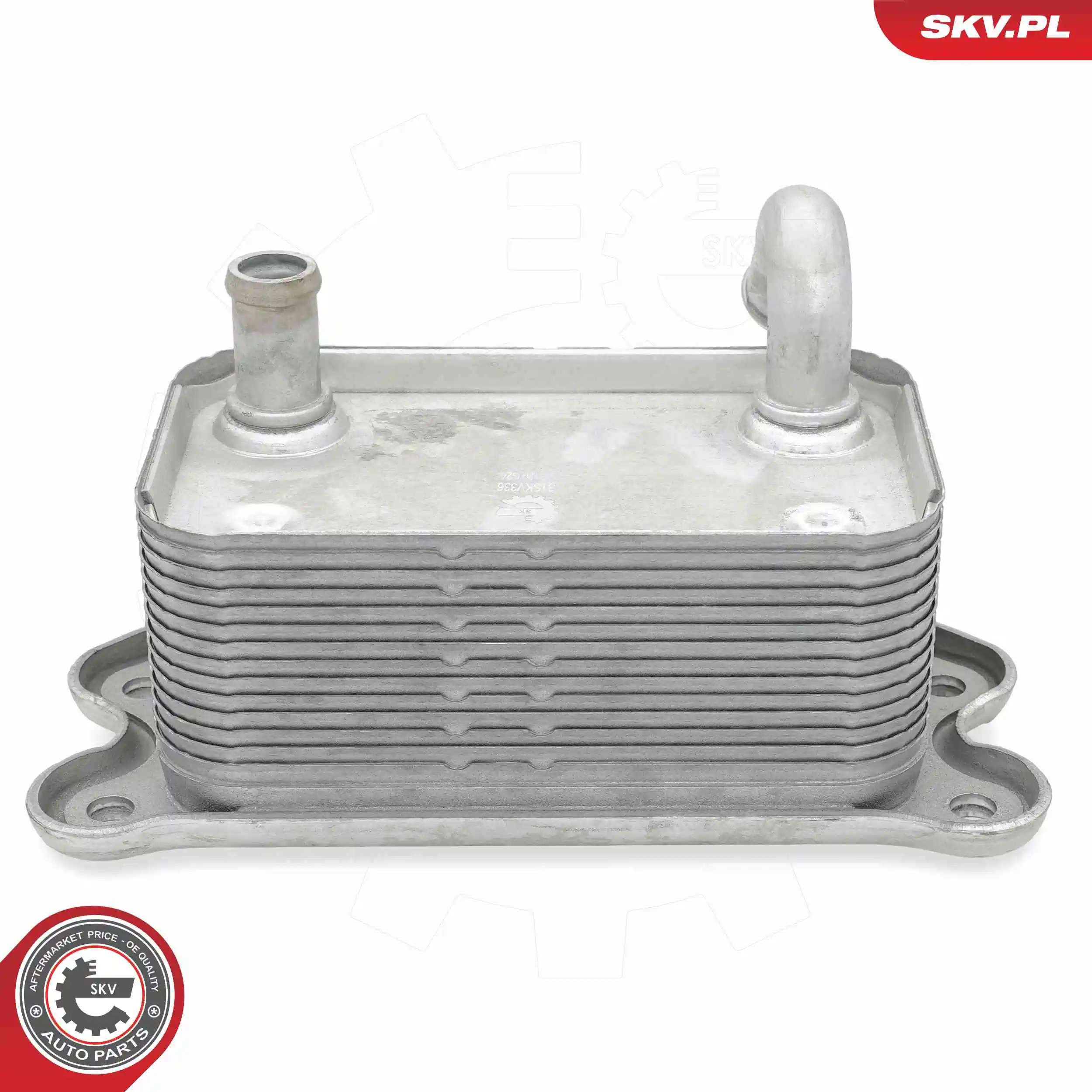 Oil Cooler, engine oil 31SKV336
