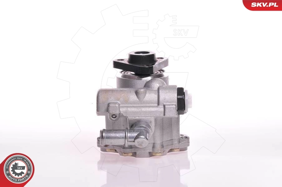 Hydraulic Pump, steering 10SKV102