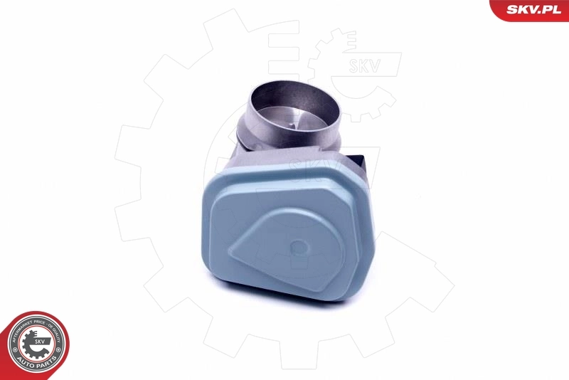Throttle Body 12SKV094