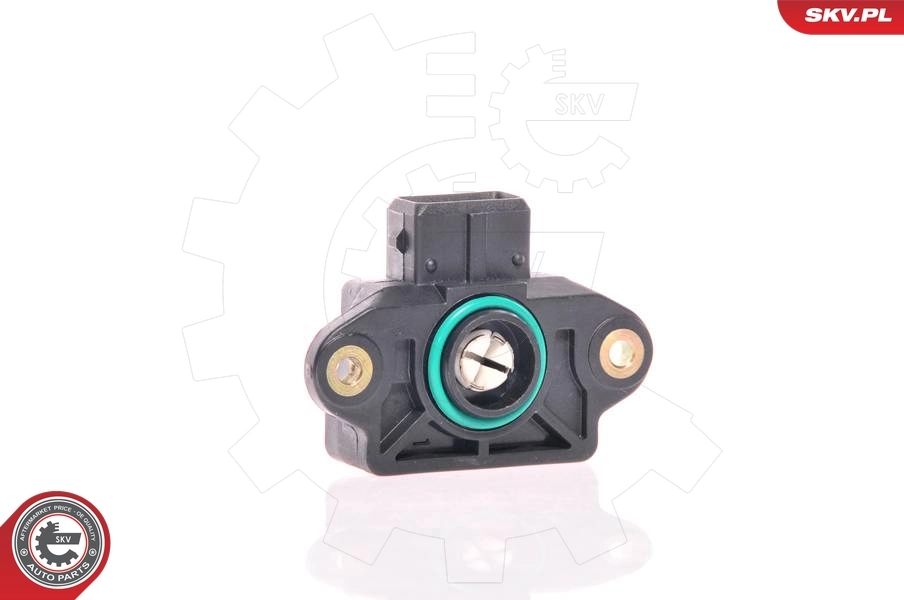 Sensor, throttle position 17SKV012