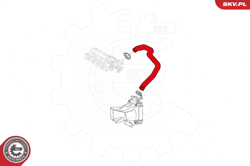Charge Air Hose 43SKV008