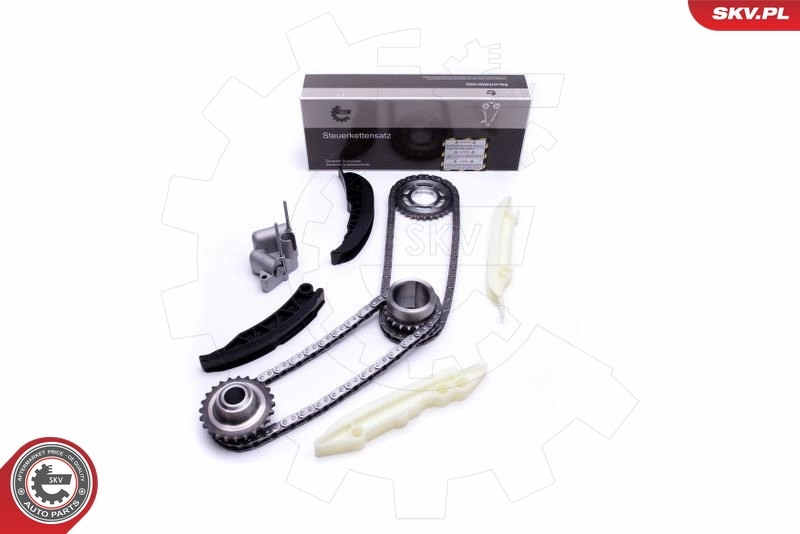 Timing Chain Kit 21SKV167