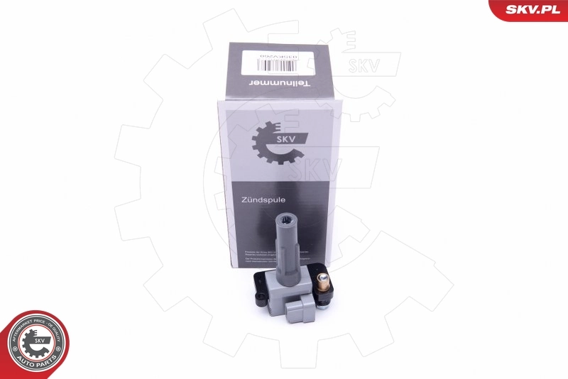 Ignition Coil 03SKV260