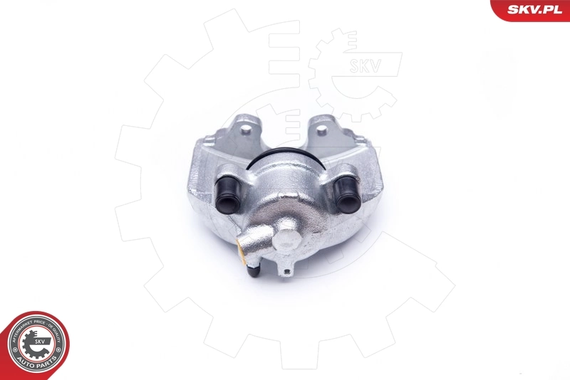 Brake Caliper 42SKV031