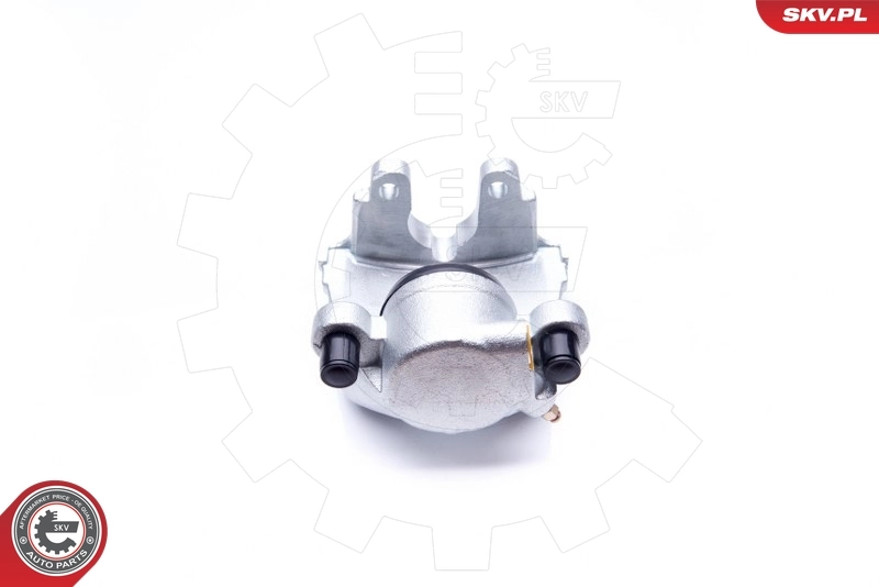 Brake Caliper 42SKV372
