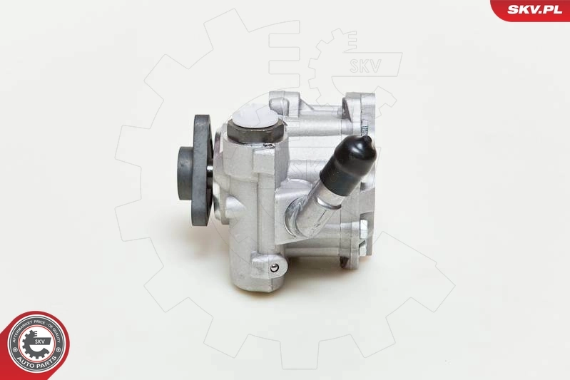 Hydraulic Pump, steering 10SKV048