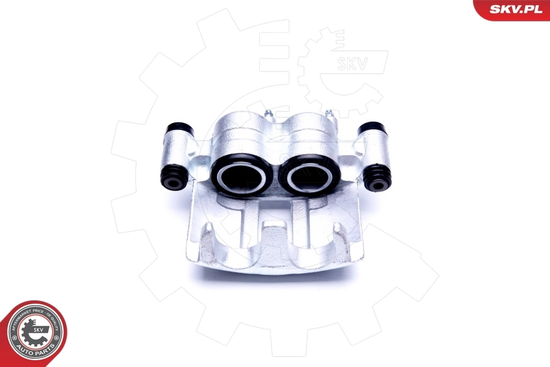 Brake Caliper 42SKV862