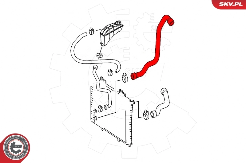 Radiator Hose 24SKV294