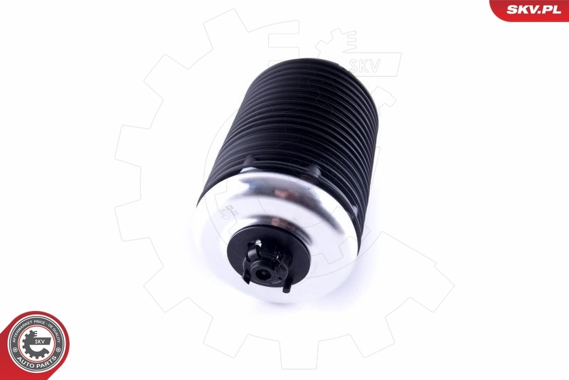 Air Spring, suspension 58SKV018