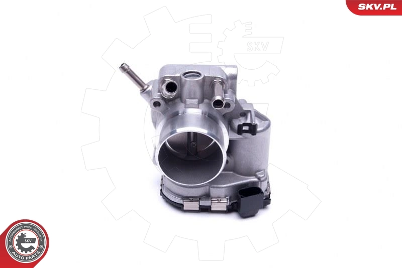 Throttle Body 12SKV098