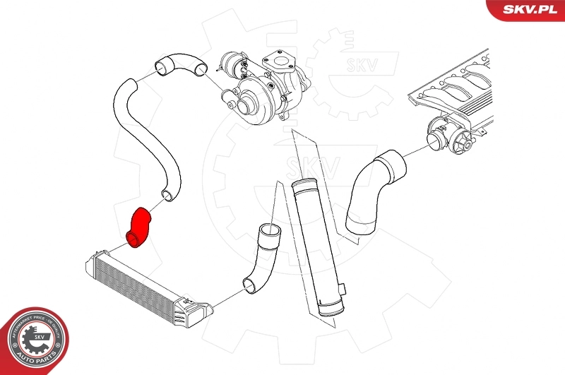 Charge Air Hose 24SKV530