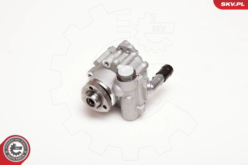 Hydraulic Pump, steering 10SKV110