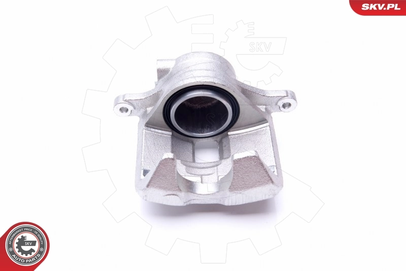Brake Caliper 45SKV702