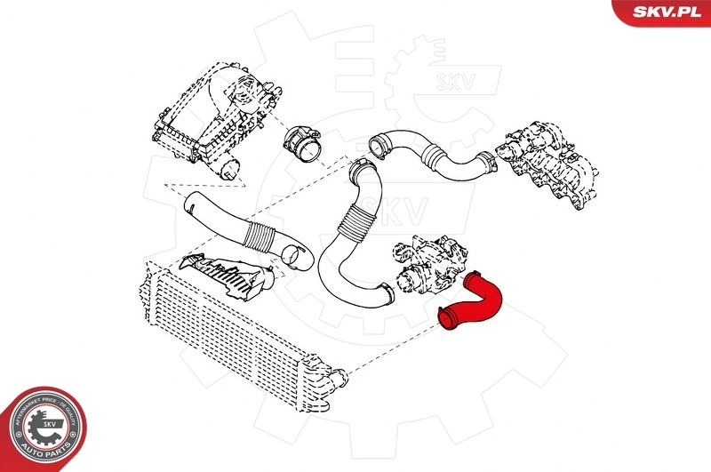 Charge Air Hose 43SKV098