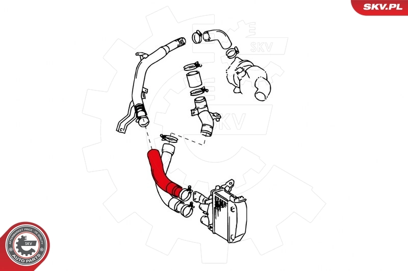 Charge Air Hose 24SKV988