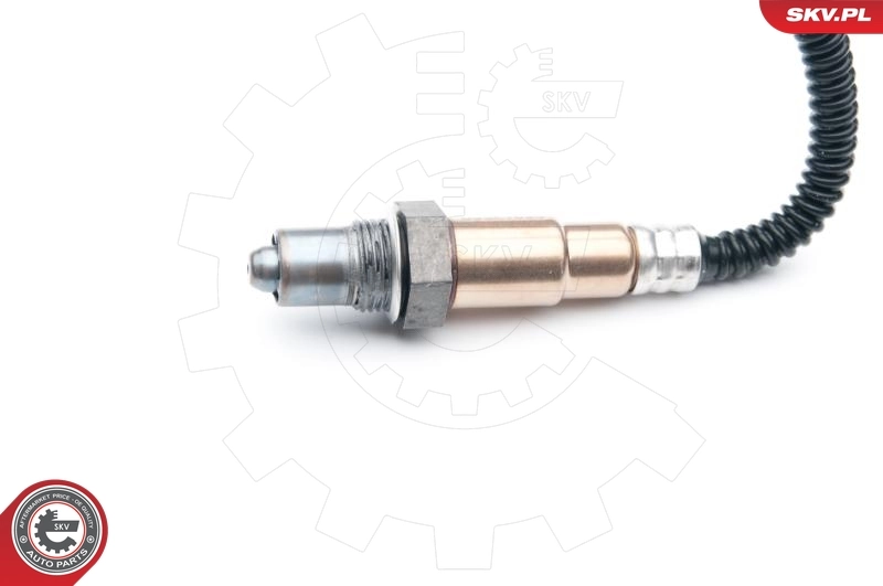 Oxygen Sensor 09SKV695