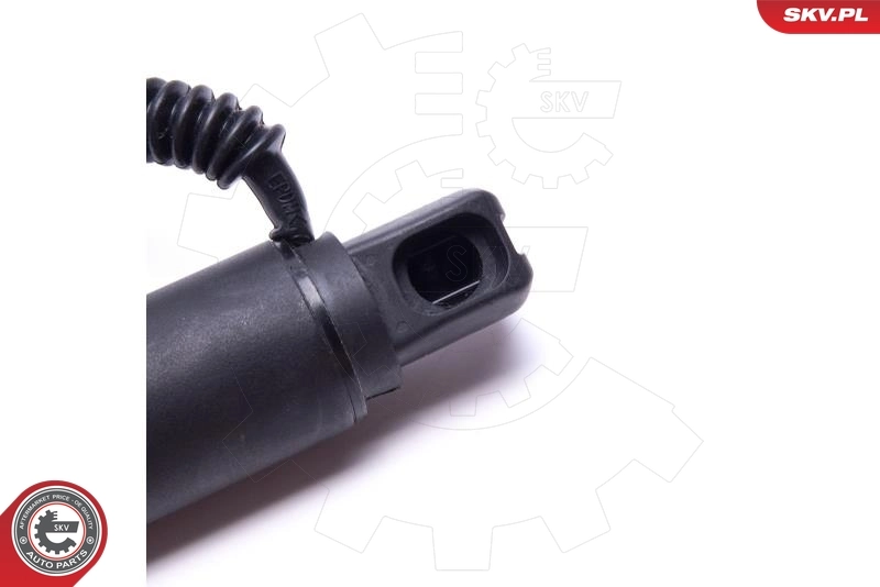 Electric Motor, tailgate 52SKV921