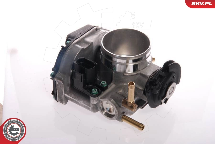 Throttle Body 12SKV025