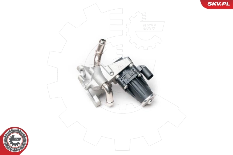 EGR Valve 14SKV100