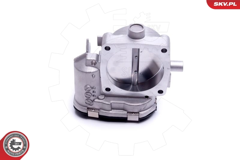 Throttle Body 12SKV118
