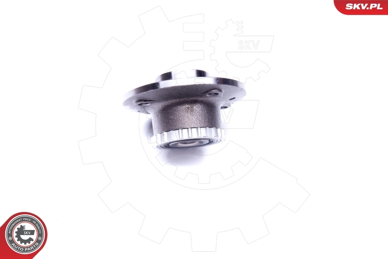 Wheel Bearing Kit 29SKV223