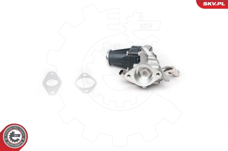 EGR Valve 14SKV100
