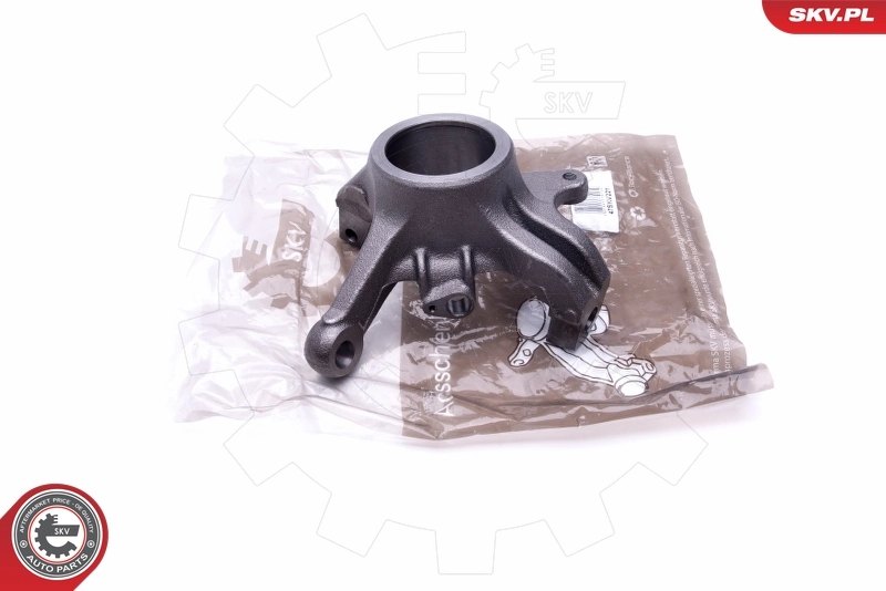 Steering Knuckle, wheel suspension 47SKV221