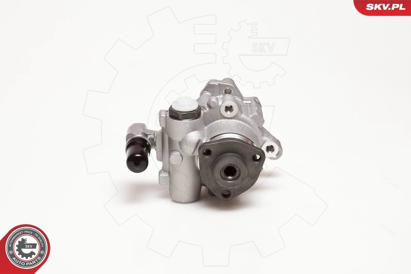 Hydraulic Pump, steering 10SKV124
