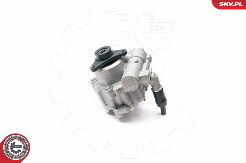 Hydraulic Pump, steering 10SKV199