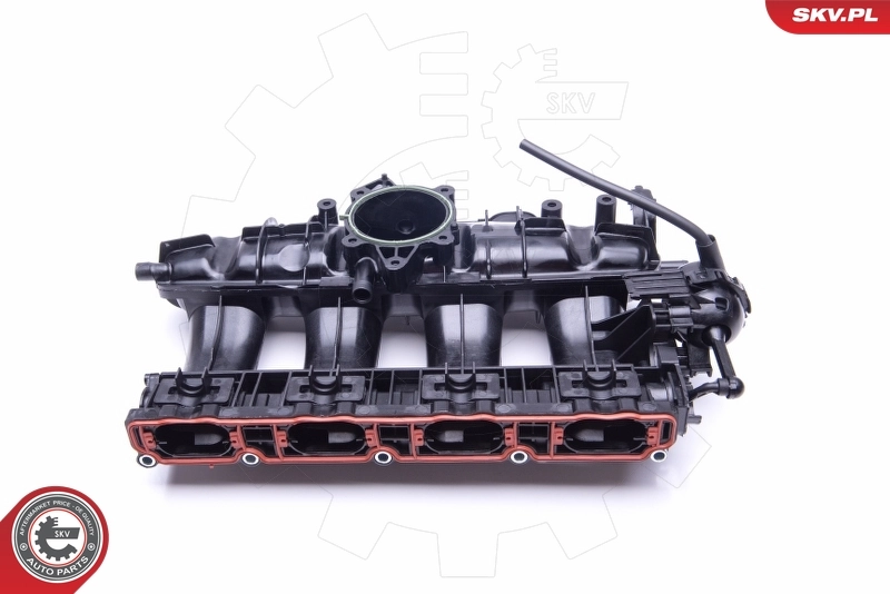Intake Manifold Module 49SKV010