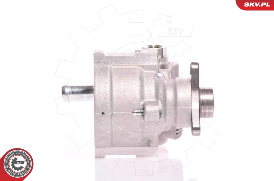 Hydraulic Pump, steering 10SKV021