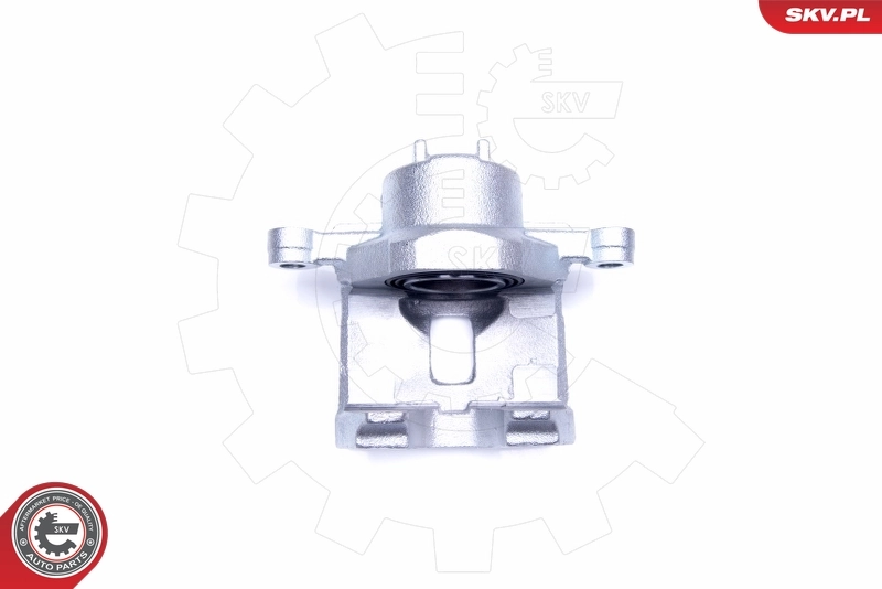 Brake Caliper 42SKV902